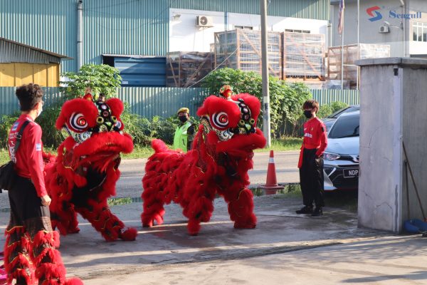 seagull-cny-lion-dance-performance